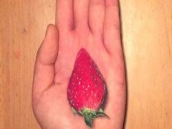 他把這張「手掌上有一顆草莓」的照片上傳後居然被大家瘋傳，換個角度一看…什麼？！