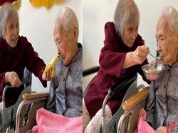 同住養老院，82歲女兒餵103歲母吃飯把媽媽寵成寶，寸步不離照顧畫面好幸福：媽媽在哪，哪裡就是家